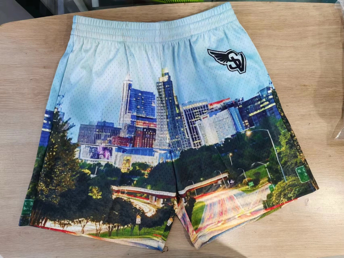 Raleigh Skyline Shorts