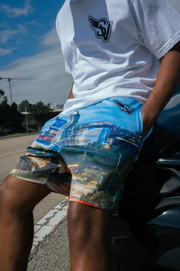 Raleigh Skyline Shorts