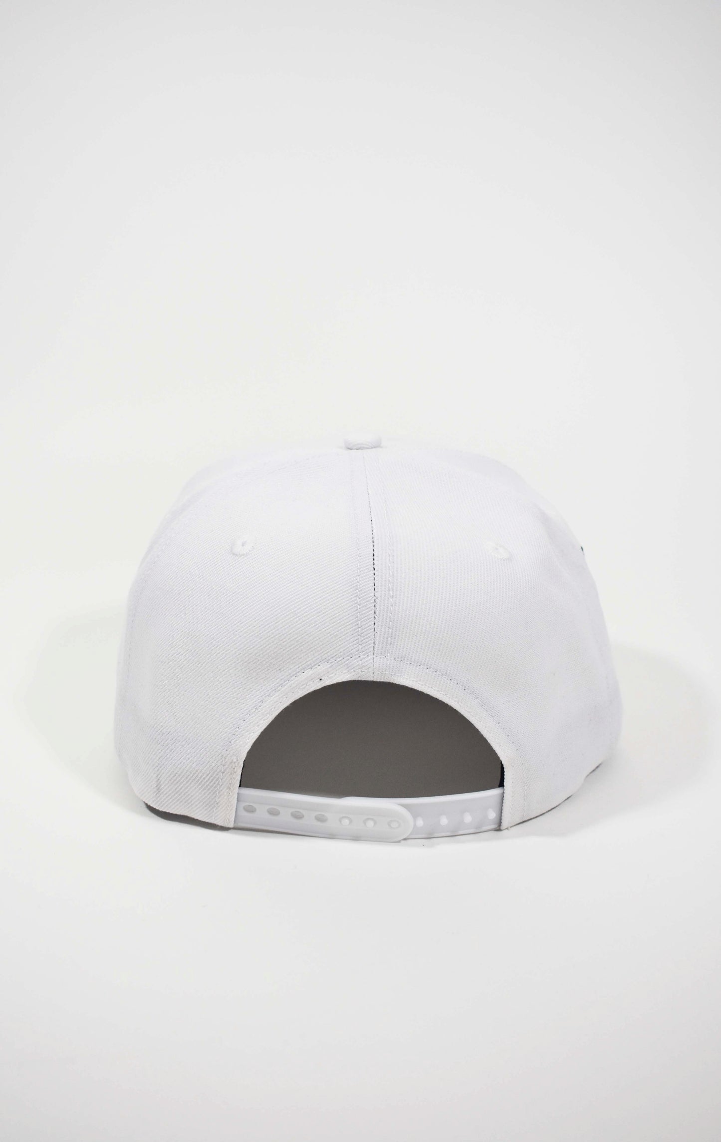 Pure Money Snapback